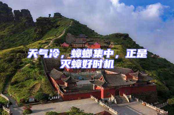 天氣冷,蟑螂集中,正是滅蟑好時機