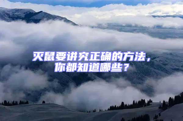 滅鼠要講究正確的方法,你都知道哪些?