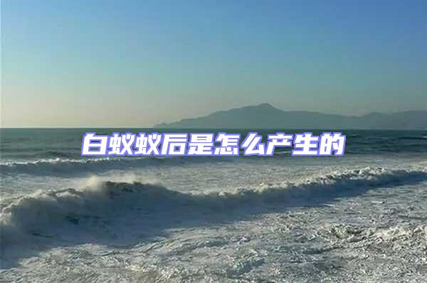 白蟻蟻后是怎么產生的