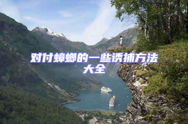 對(duì)付蟑螂的一些誘捕方法大全