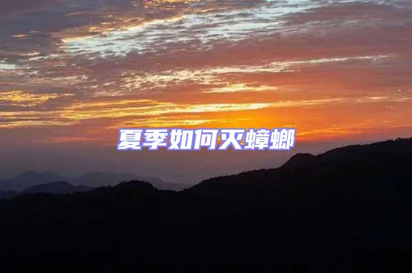 夏季如何滅蟑螂