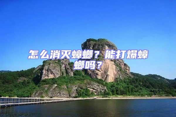 怎么消滅蟑螂？能打爆蟑螂嗎？