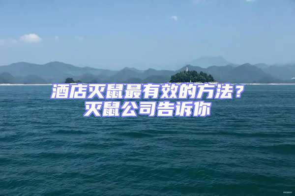 酒店滅鼠最有效的方法？滅鼠公司告訴你
