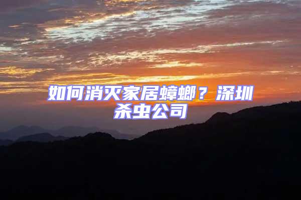 如何消滅家居蟑螂?深圳殺蟲公司