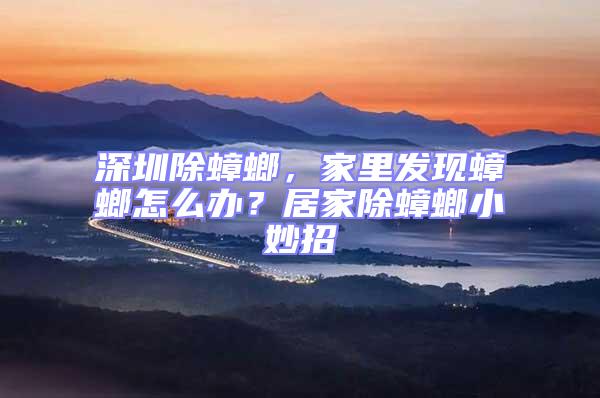 深圳除蟑螂,家里發(fā)現蟑螂怎么辦?居家除蟑螂小妙招