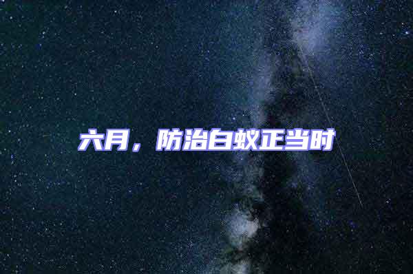 六月，防治白蟻正當(dāng)時