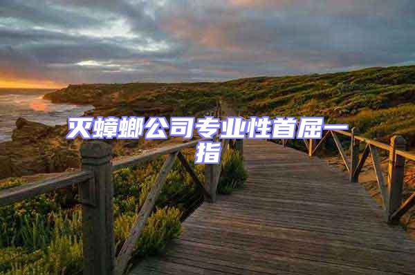 滅蟑螂公司專業(yè)性首屈一指