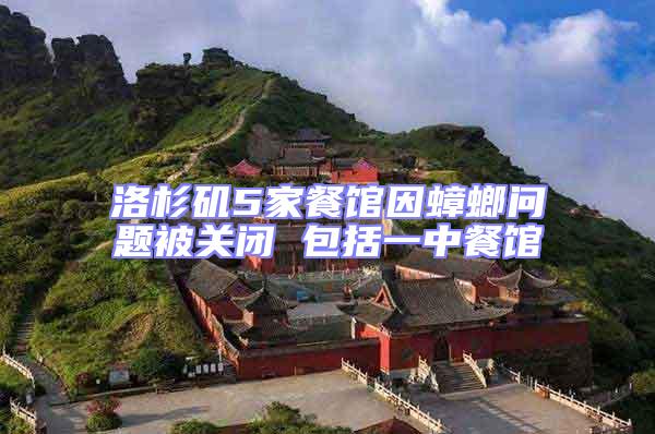 洛杉磯5家餐館因蟑螂問題被關閉 包括一中餐館