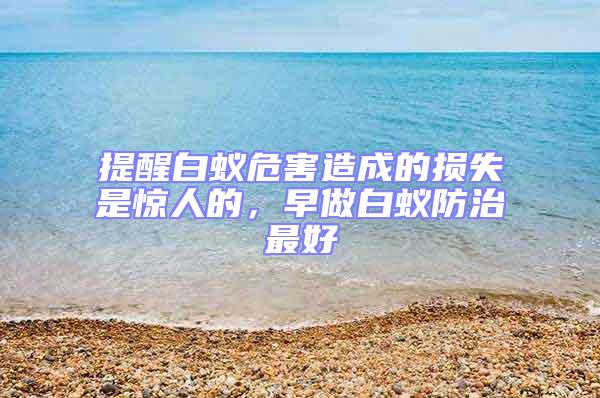 提醒白蟻危害造成的損失是驚人的,早做白蟻防治最好