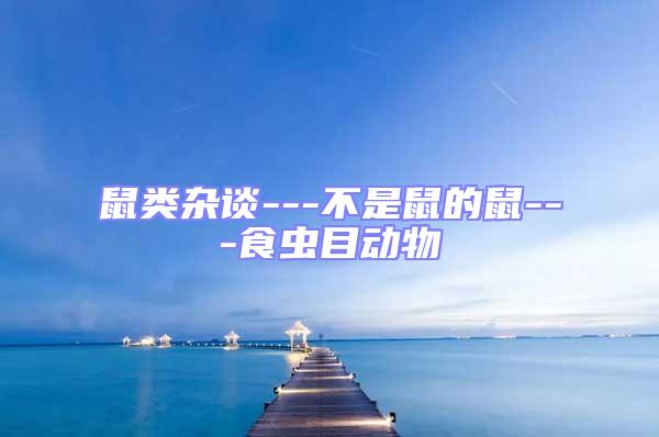 鼠類雜談---不是鼠的鼠---食蟲目動(dòng)物