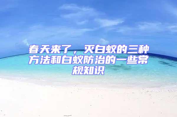 春天來了,滅白蟻的三種方法和白蟻防治的一些常規知識