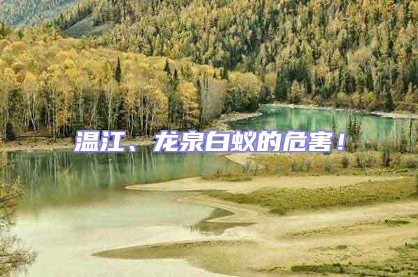 溫江、龍泉白蟻的危害！