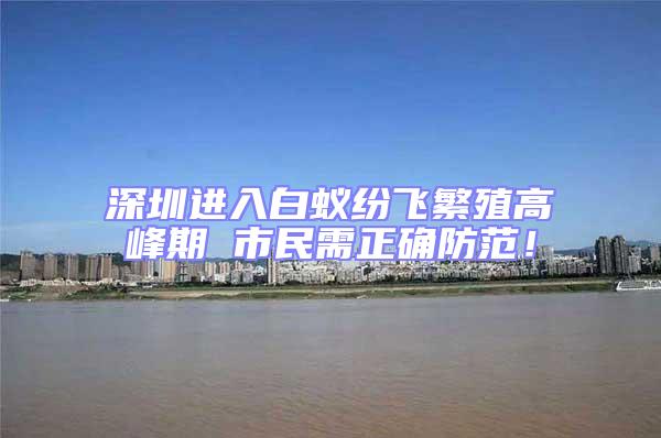 深圳進(jìn)入白蟻紛飛繁殖高峰期 市民需正確防范!