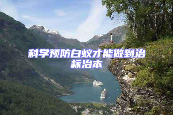 科學(xué)預(yù)防白蟻才能做到治標(biāo)治本