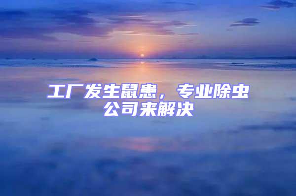 工廠發(fā)生鼠患，專業(yè)除蟲公司來解決