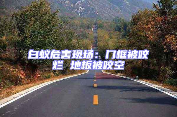 白蟻危害現場：門框被咬爛 地板被咬空