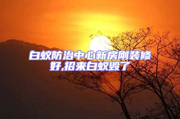 白蟻防治中心新房剛裝修好,招來白蟻毀了