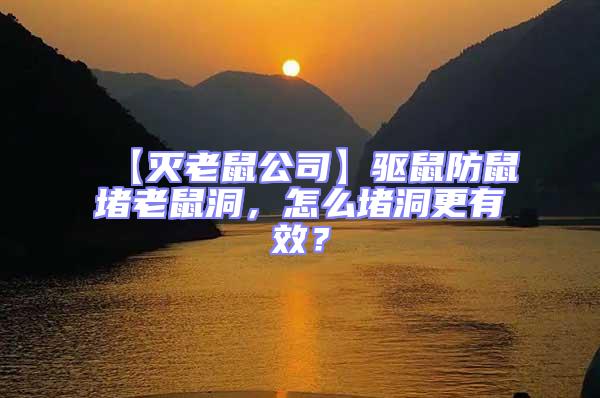 【滅老鼠公司】驅(qū)鼠防鼠堵老鼠洞,怎么堵洞更有效?