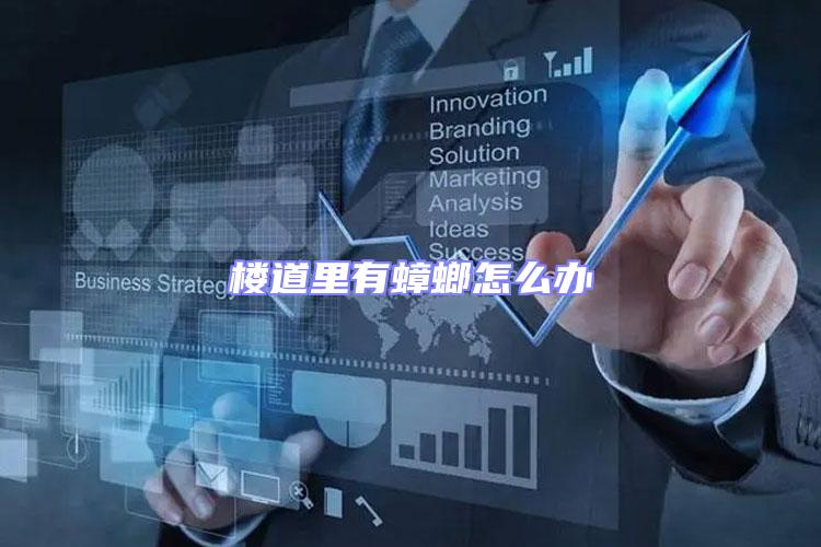 樓道里有蟑螂怎么辦