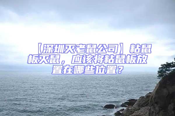 【深圳滅老鼠公司】粘鼠板滅鼠，應(yīng)該將粘鼠板放置在哪些位置？