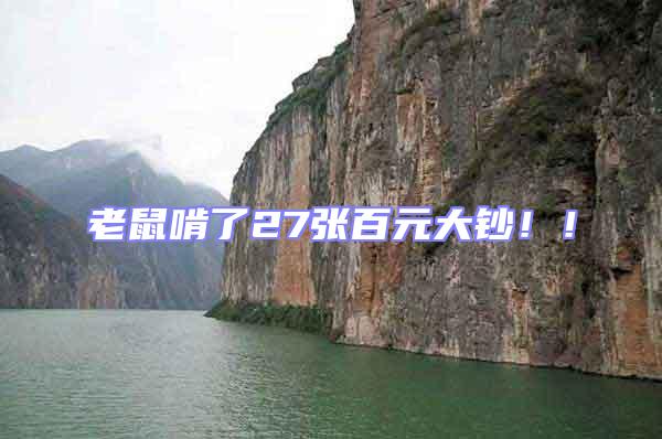 老鼠啃了27張百元大鈔!!