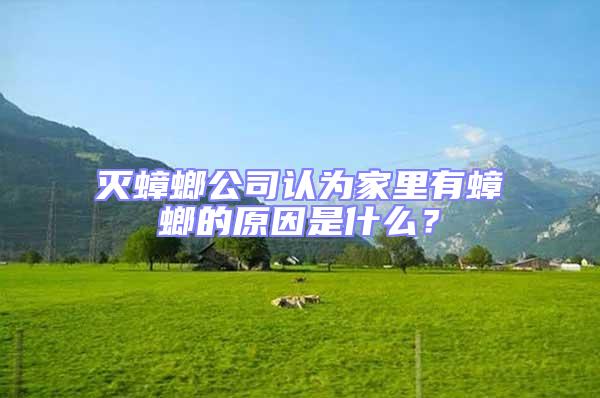 滅蟑螂公司認(rèn)為家里有蟑螂的原因是什么？