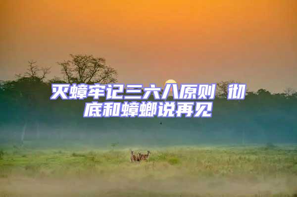 滅蟑牢記三六八原則 徹底和蟑螂說(shuō)再見(jiàn)