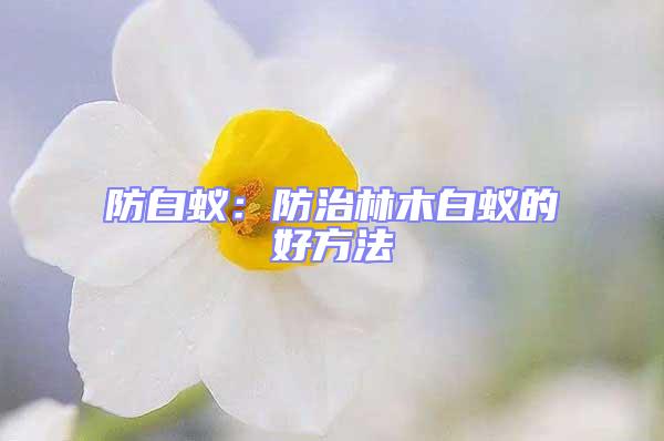 防白蟻:防治林木白蟻的好方法