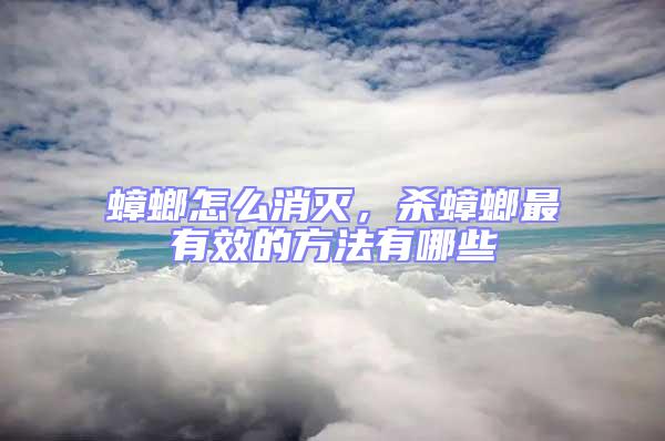 蟑螂怎么消滅,殺蟑螂最有效的方法有哪些