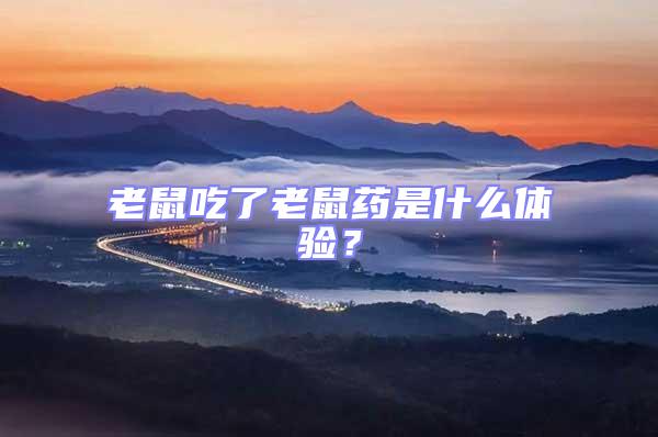 老鼠吃了老鼠藥是什么體驗?