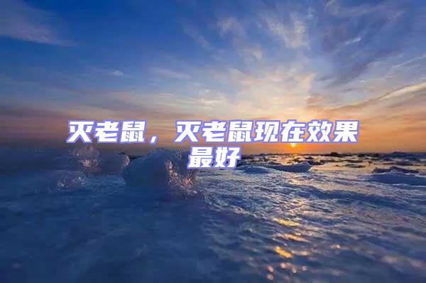 滅老鼠，滅老鼠現在效果最好