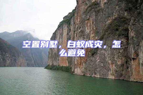 空置別墅,白蟻成災(zāi),怎么避免