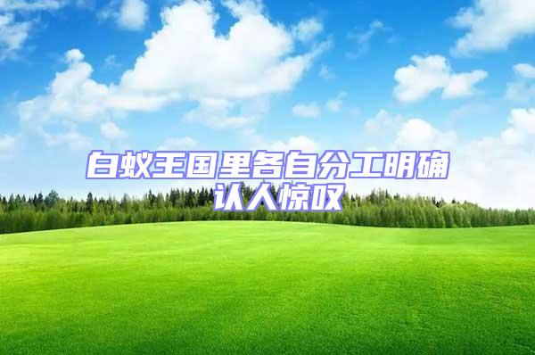 白蟻王國(guó)里各自分工明確 認(rèn)人驚嘆