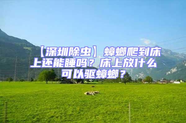 【深圳除蟲】蟑螂爬到床上還能睡嗎?床上放什么可以驅蟑螂?