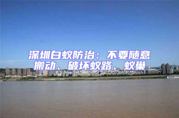 深圳白蟻防治:不要隨意搬動、破壞蟻路、蟻巢