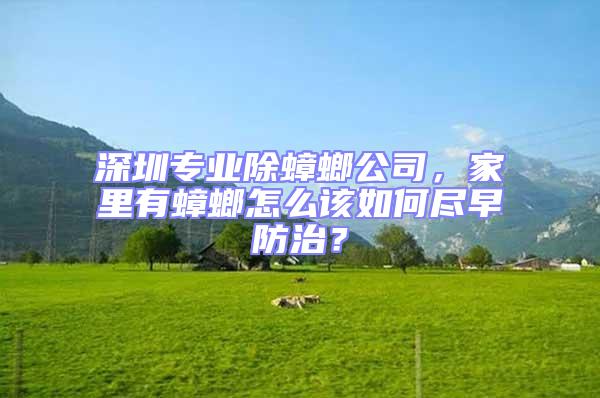 深圳專業(yè)除蟑螂公司,家里有蟑螂怎么該如何盡早防治?