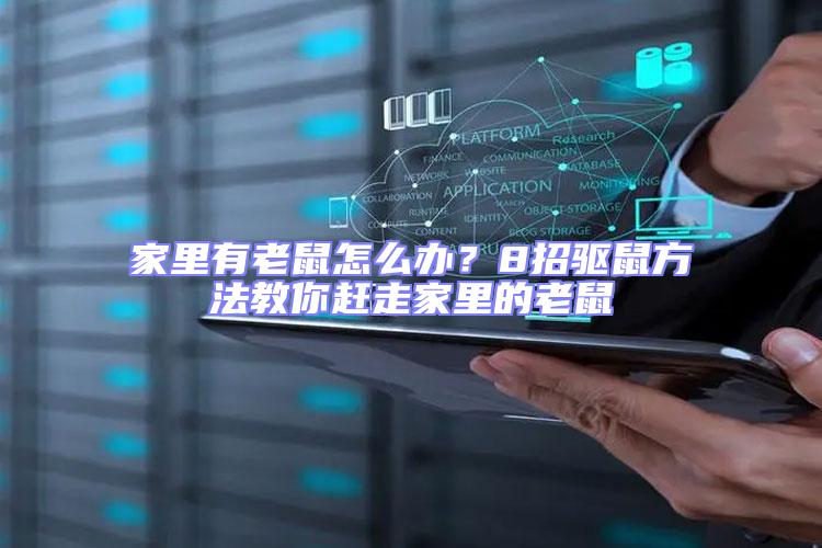 家里有老鼠怎么辦?8招驅鼠方法教你趕走家里的老鼠