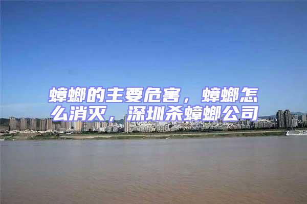 蟑螂的主要危害,蟑螂怎么消滅,深圳殺蟑螂公司