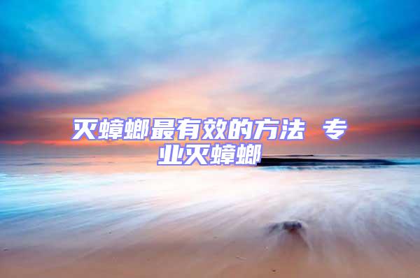 滅蟑螂最有效的方法 專業滅蟑螂