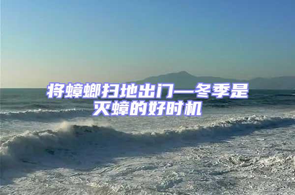 將蟑螂掃地出門—冬季是滅蟑的好時機(jī)