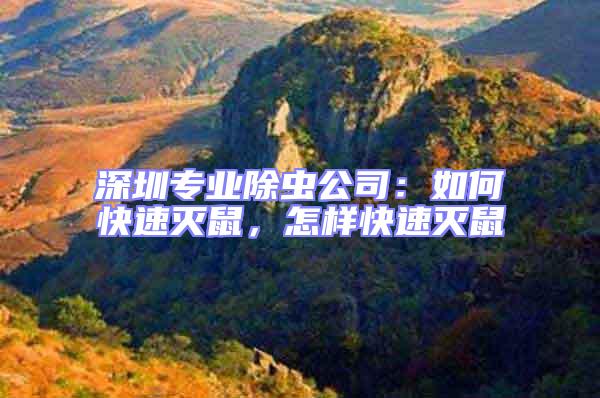 深圳專業(yè)除蟲公司：如何快速滅鼠，怎樣快速滅鼠