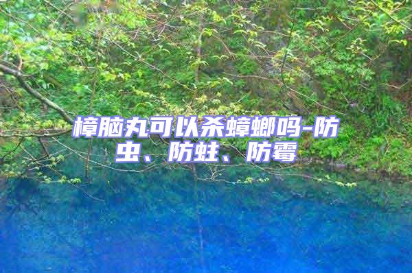 樟腦丸可以殺蟑螂嗎-防蟲、防蛀、防霉