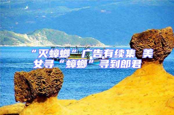 “滅蟑螂”廣告有續集 美女尋“蟑螂”尋到郎君