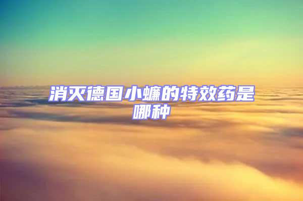 消滅德國(guó)小蠊的特效藥是哪種