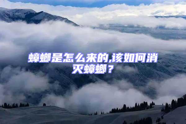 蟑螂是怎么來的,該如何消滅蟑螂？