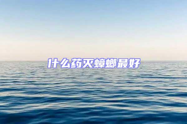 什么藥滅蟑螂最好