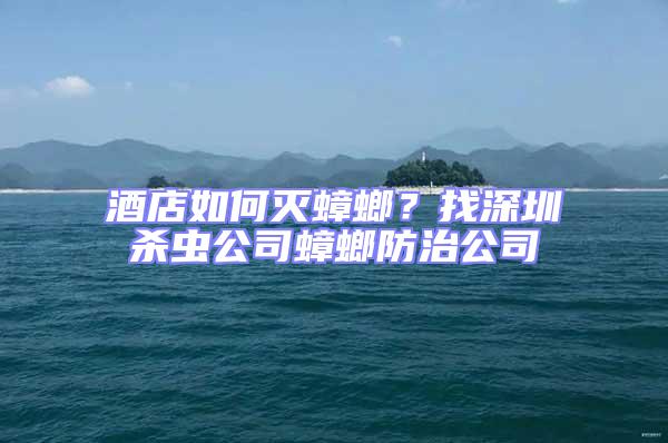 酒店如何滅蟑螂？找深圳殺蟲公司蟑螂防治公司