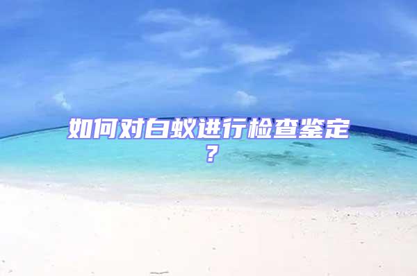 如何對白蟻進行檢查鑒定？