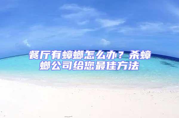 餐廳有蟑螂怎么辦?殺蟑螂公司給您最佳方法