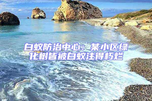 白蟻防治中心：某小區綠化樹皆被白蟻注得朽爛